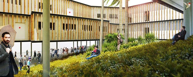 Université de la Nouvelle-Calédonie