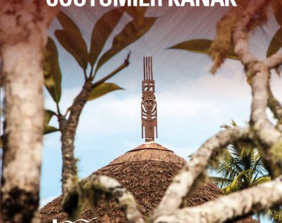 Précis de droit civil coutumier kanak